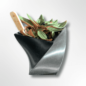 Plantenpot Twist zwart